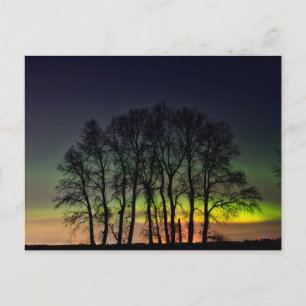 Noorderlicht   Manitoba Canada Grande Pointe Briefkaart
