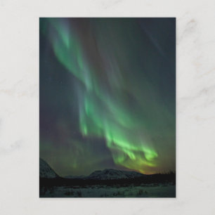 Noorderlicht Whitehorse, Yukon Briefkaart