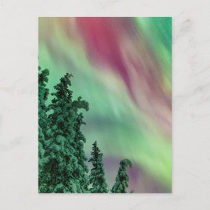 Noorderlicht Winter in Glennallen, Alaska Briefkaart