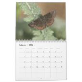 Noordoost Butterflies 2019 Kalender (Feb 2026)