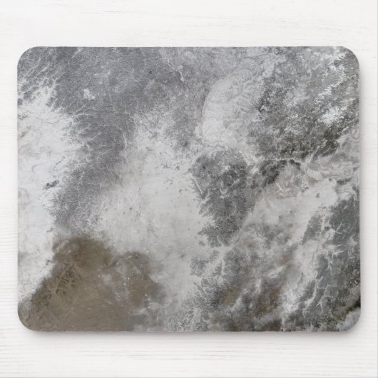 Noordoost-China Muismat (Voorkant)