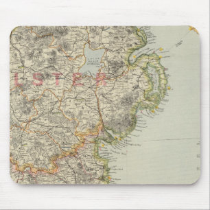 Noordoost-Ierland Muismat