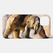 Noordpool 1999 Case-Mate iPhone case (Achterkant (horizontaal))