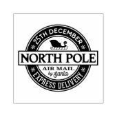 Noordpool luchtpost Feestelijk Rubberstempel (Afrduk)