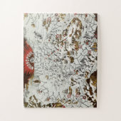  Noordpool - Oude Antiek Kaart Wereld Legpuzzel (Verticaal)