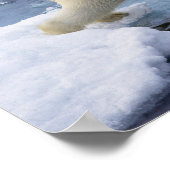 Noordpool, Spitsbergen, Polar Beer uitbreiding Poster (Hoek)