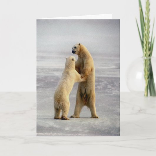 Noordpool Wals Kaart (Voorkant)