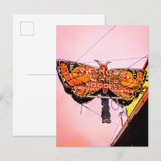 Noordwest-Neon: De schelvis, briefkaart (Voorkant / Achterkant)