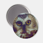 Noordzeedruikuil Magneet (Voorkant / Achterkant)