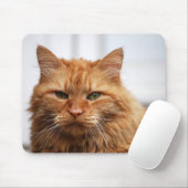 Noors bos Cat Mousepad Muismat (Met muis)