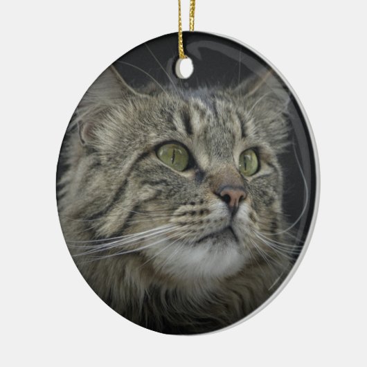 Noors bos kattenportret keramisch ornament (Links)