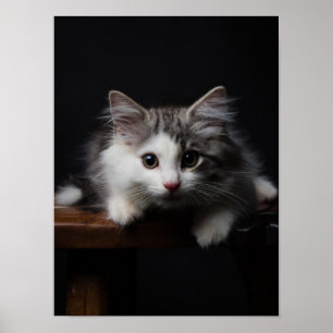 Noors bos Kitten Poster