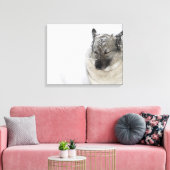 Noors Elkhound Canvas Afdruk (Insitu (Woonkamer))