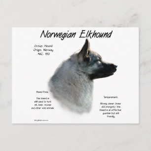 Noors Elkhound Geschiedenis Ontwerp Briefkaart