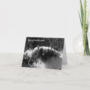 Noors fjordpaard in zwart en wit bedankkaart