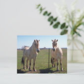 Noors Fjords Briefkaart (Staand voorkant)