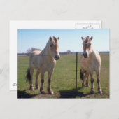 Noors Fjords Briefkaart (Voorkant / Achterkant)