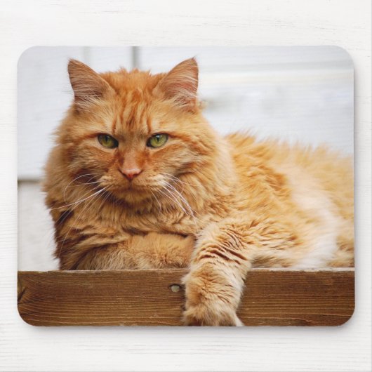 Noorse boskat, koning van Katten Mousepad Muismat (Voorkant)