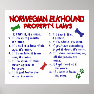 NOORSE ELKHOUND PL2 POSTER