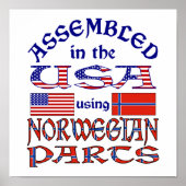 Noorse en Noorse vlag Poster (Voorkant)