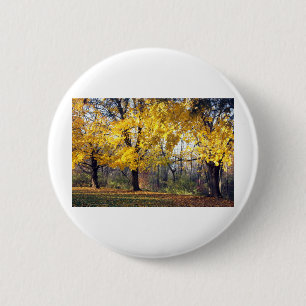 noorse esdoorn ronde button 5,7 cm