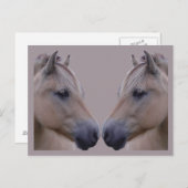 Noorse Fjord Briefkaart (Voorkant / Achterkant)