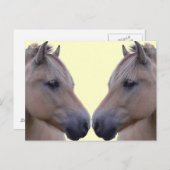 Noorse Fjord Briefkaart (Voorkant / Achterkant)