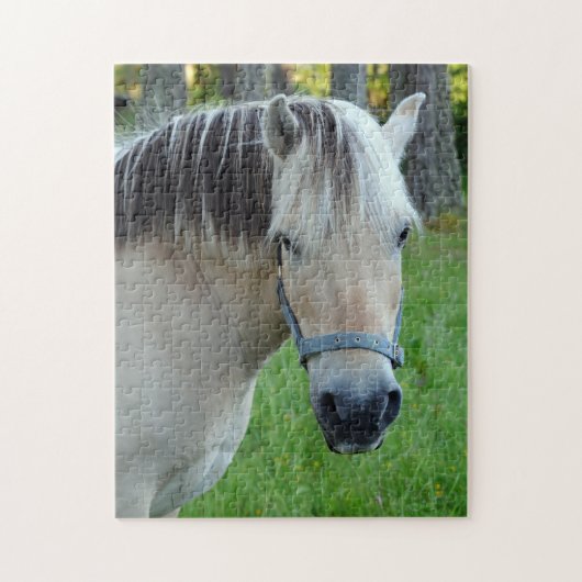 Noorse Fjorden Paard Puzzel Legpuzzel (Verticaal)
