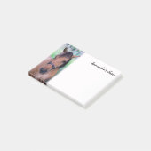 Noorse fjordpaard Post-It-notities Post-it® Notes (Schuin)