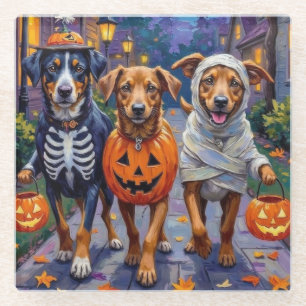 Noorse Lundehund Trick-or-Treating Halloween Glazen Onderzetter