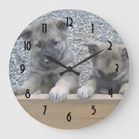 Noorse Puppies van Elkhound