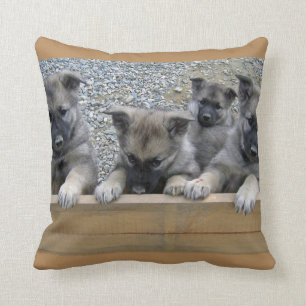 Noorse Puppies van Elkhound Kussen