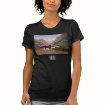 Noorse vrouw in een paardenkoets