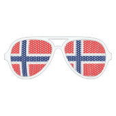 Noorwegen Aviator Zonnebril (Voorkant)