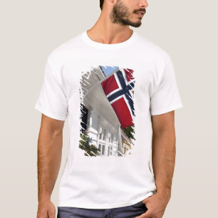 Noorwegen, Stavanger. Historische uitzichten in he T-shirt