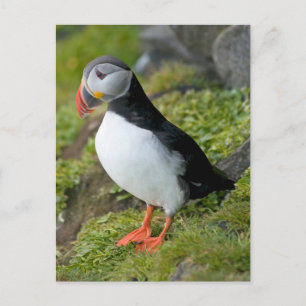 Noorwegen, Svalbard-archipel, Spitsbergen 9 Briefkaart