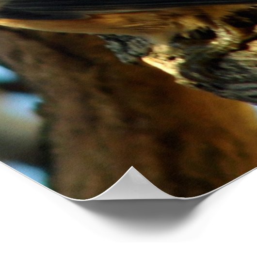 Noot 10/28/07 poster (Hoek)