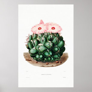 Nopal Tekening van een Plant van Cactus Flower Cac Poster