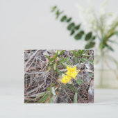 Nophis bedankkaart (Staand voorkant)