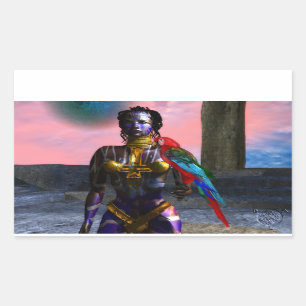 NORA CYBER WARRIOR RECHTHOEKIGE STICKER