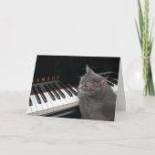 Nora Le Piano Cat - Carte pliée vierge - Style 7 (Devant)