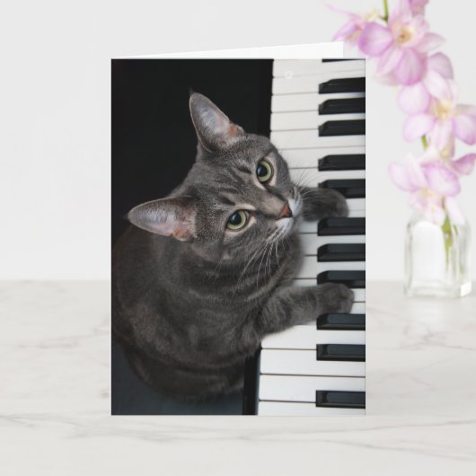 Nora The Piano Cat - Blank Folded Card - Style 001 Kaart (Orchidee)