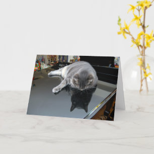 Nora The Piano Cat - Blank Folded Card - Style 006 Kaart