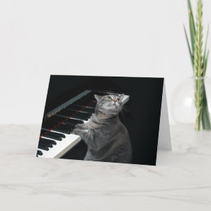 Nora The Piano Cat - Carte pliée vierge - Style 00