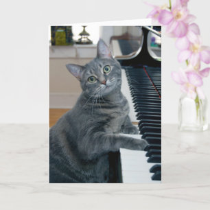 Nora The Piano Cat - Carte pliée vierge - Style 00