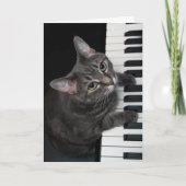 Nora The Piano Cat - Carte pliée vierge - Style 00 (Devant)