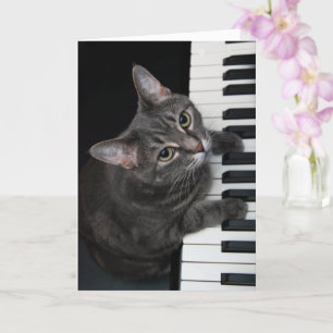 Nora The Piano Cat - Carte pliée vierge - Style 00