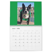 Nord-est de Boston Terrier Secourt 2022 Calendrier (Mar 2026)