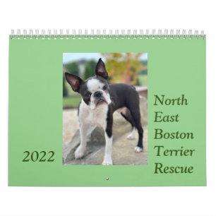 Nord-est de Boston Terrier Secourt 2022 Calendrier