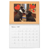 Nord-est de Boston Terrier Secourt 2022 Calendrier (Feb 2027)
